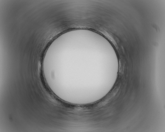 X0000113990109200910161655