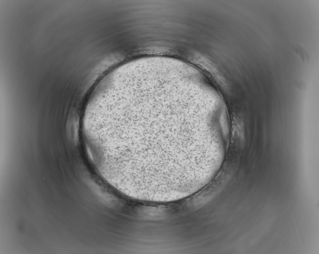 X0000113990110200910161655