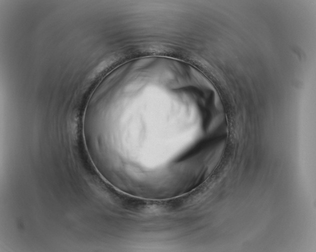 X0000113990111200910161655