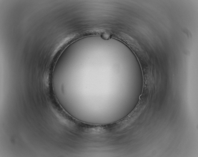 X0000113990112200910161655