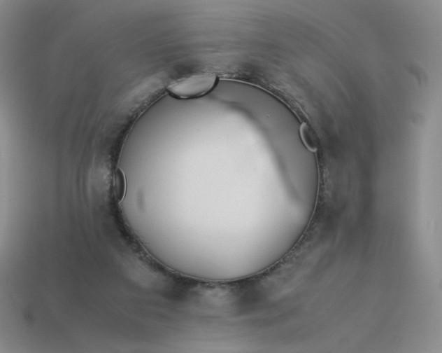 X0000113990113200910161655