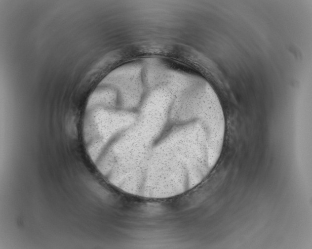 X0000113990114200910161655