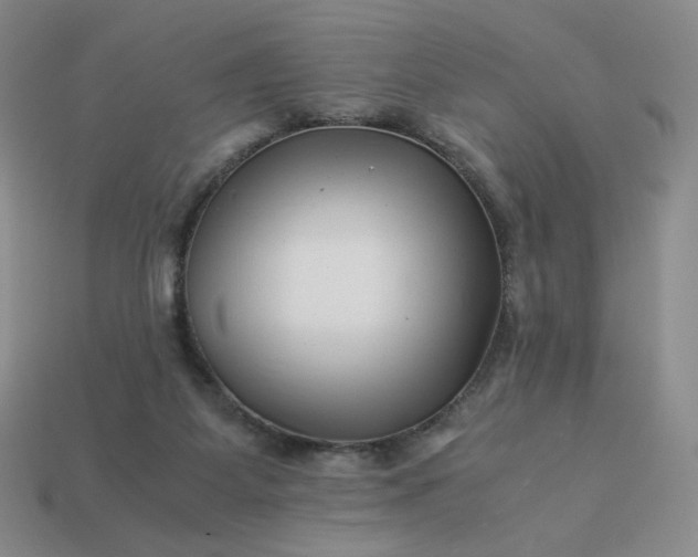 X0000113990115200910161655