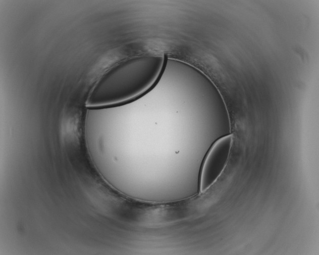 X0000113990116200910161655