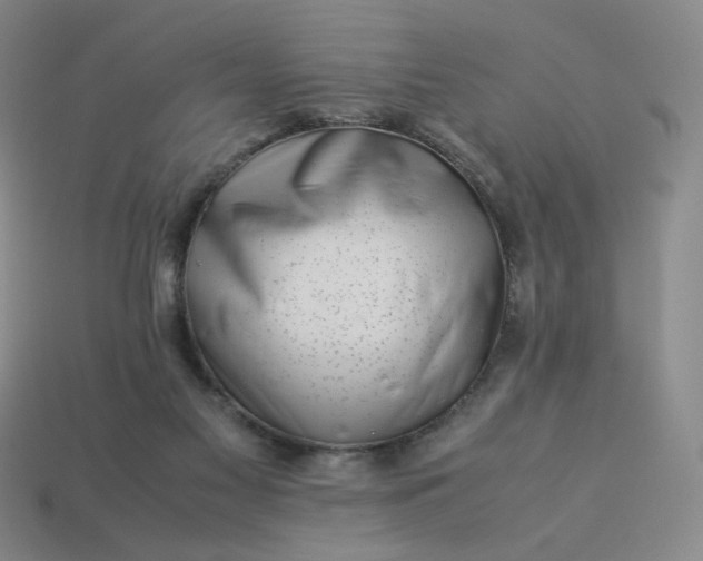 X0000113990117200910161655