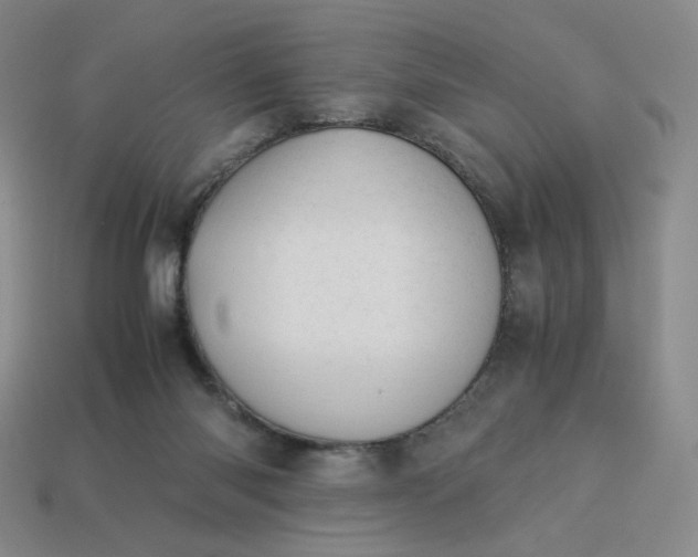 X0000113990118200910161655