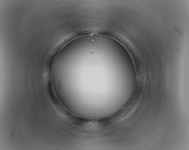 X0000113990119200910161655