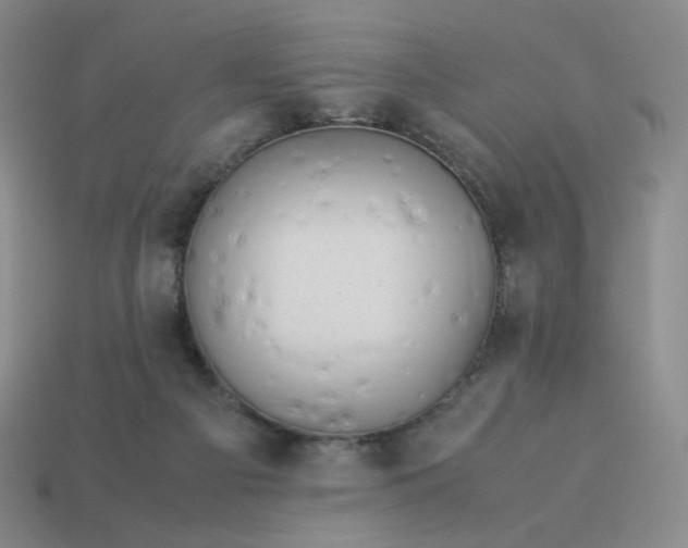 X0000113990121200910161655