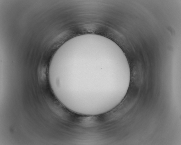 X0000113990122200910161655