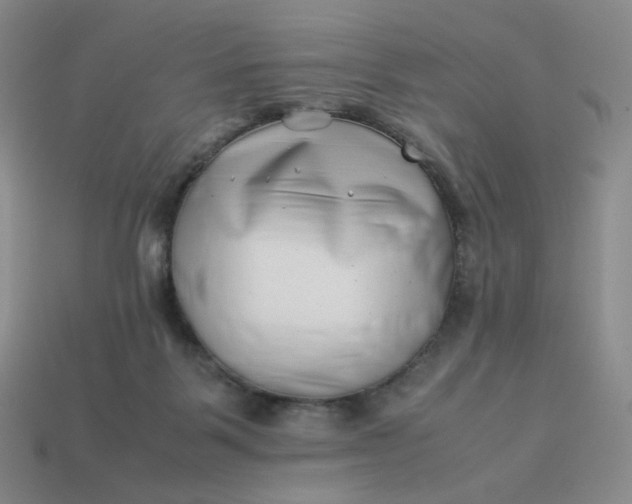 X0000113990123200910161655