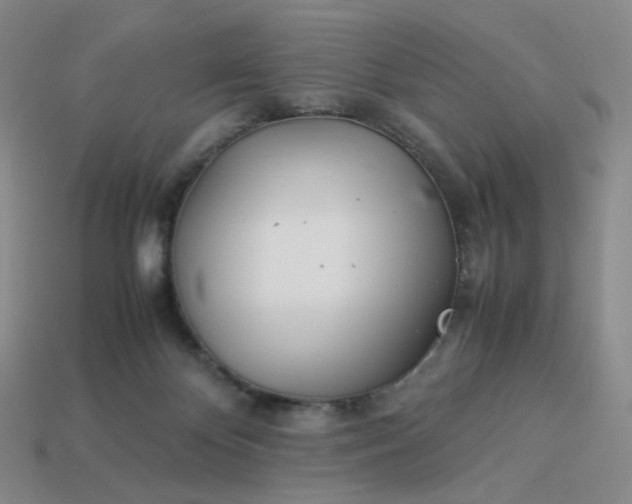 X0000113990124200910161655