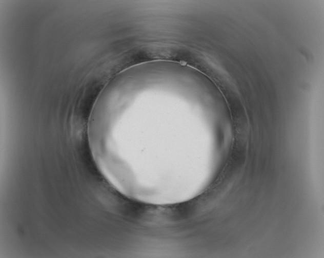 X0000113990125200910161655