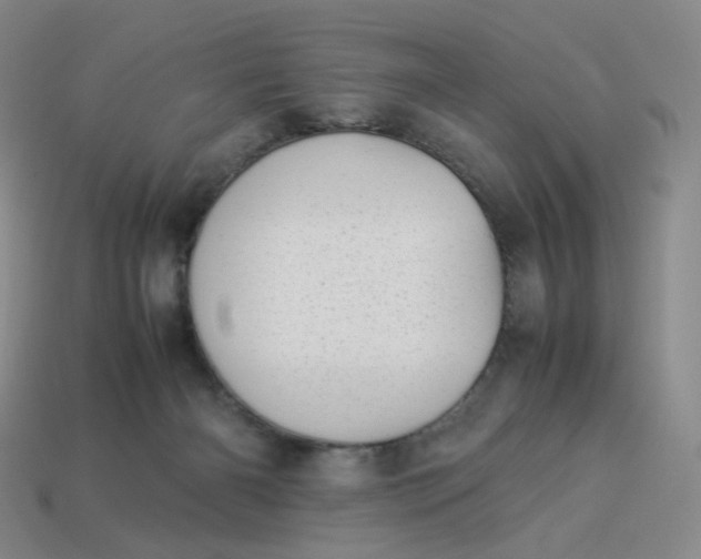 X0000113990126200910161655