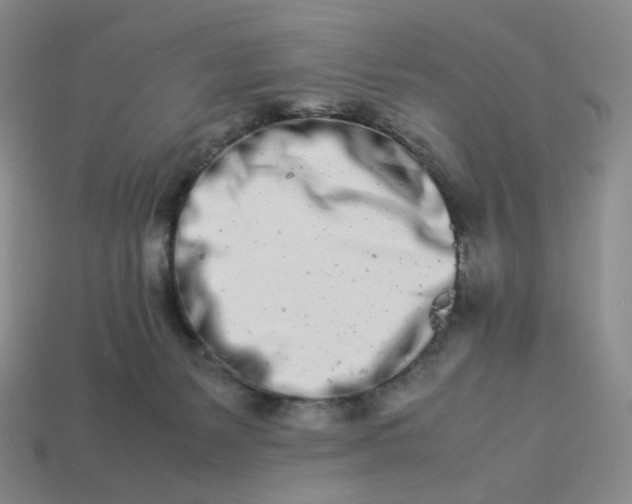 X0000113990127200910161655