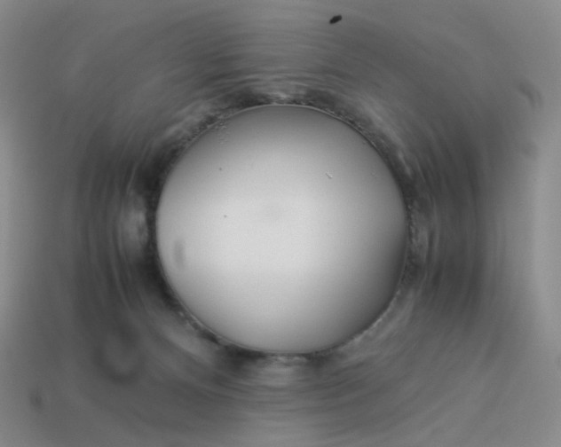 X0000113990128200910161655