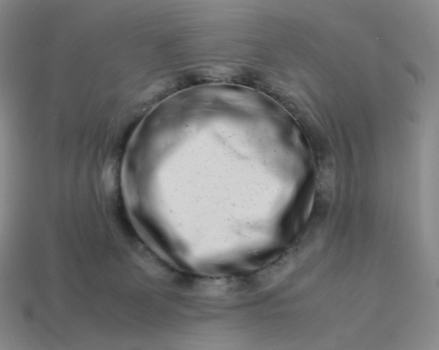 X0000113990131200910161655