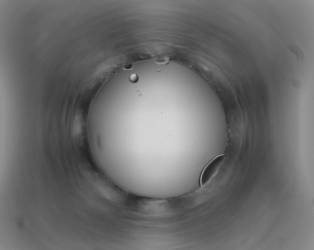 X0000113990132200910161655