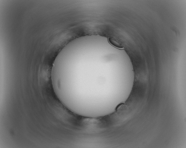 X0000113990133200910161655