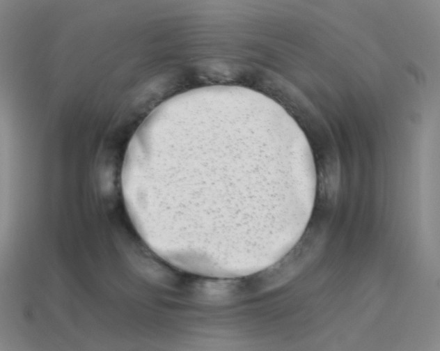 X0000113990134200910161655