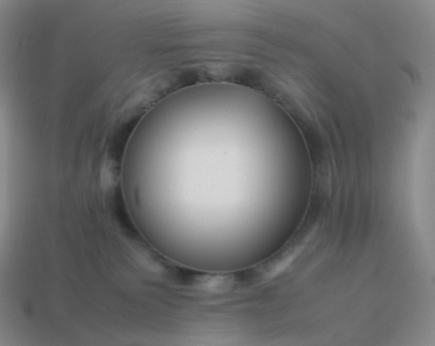 X0000113990135200910161655