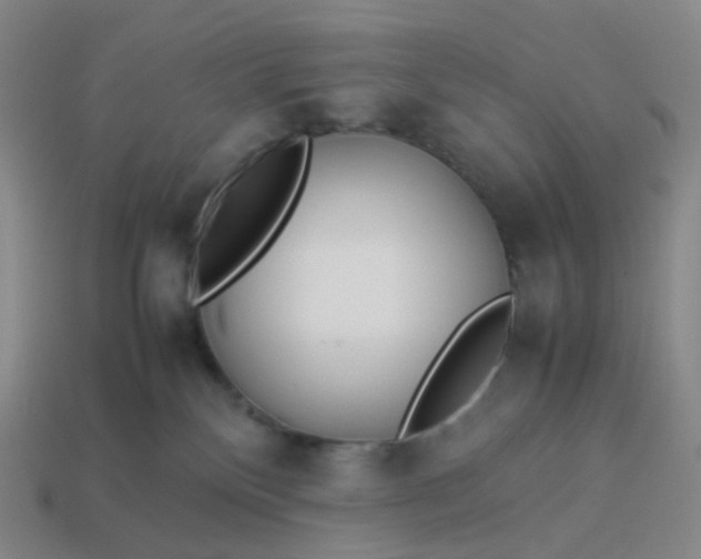 X0000113990136200910161655