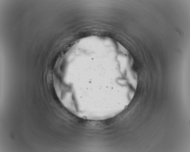 X0000113990137200910161655