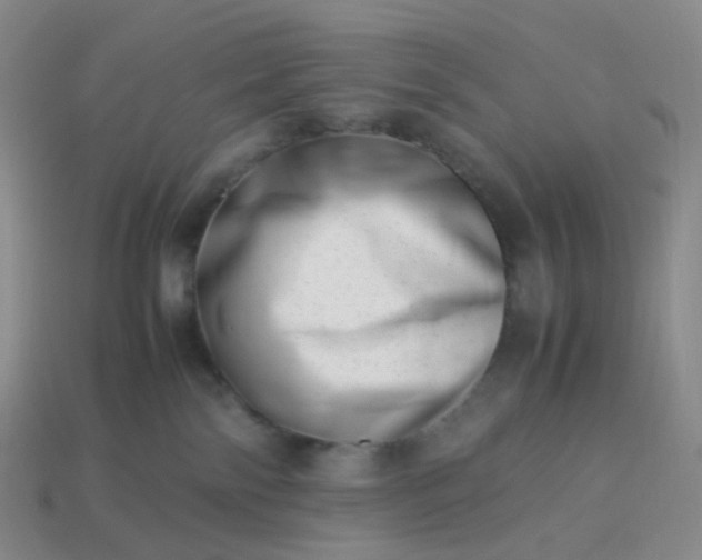 X0000113990138200910161655