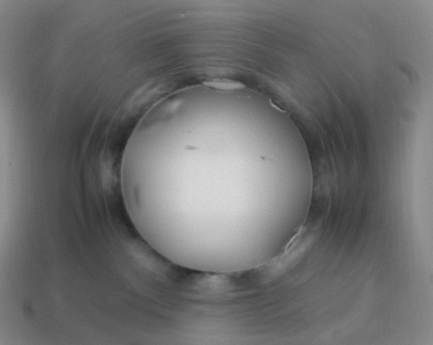 X0000113990140200910161655