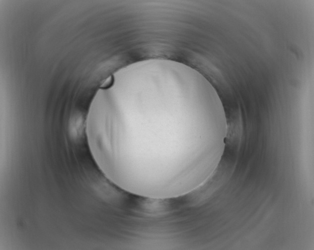 X0000113990142200910161655