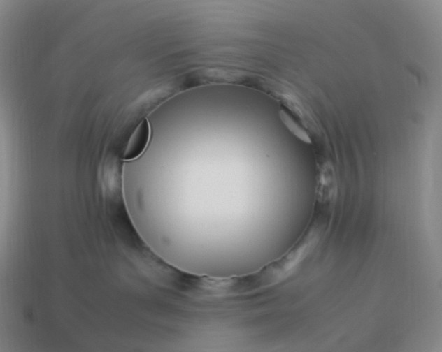 X0000113990143200910161655