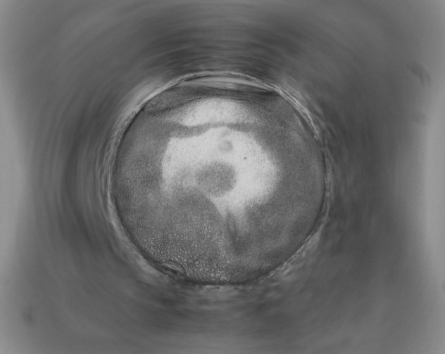 X0000113990145200910161654