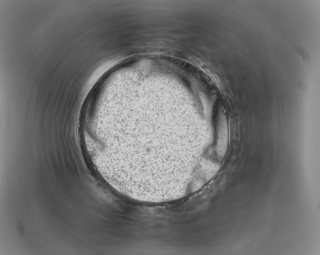 X0000113990147200910161654