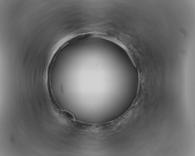 X0000113990148200910161654