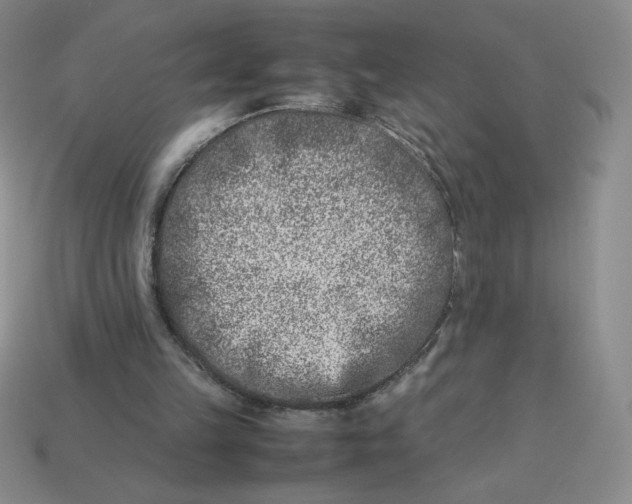 X0000113990149200910161654