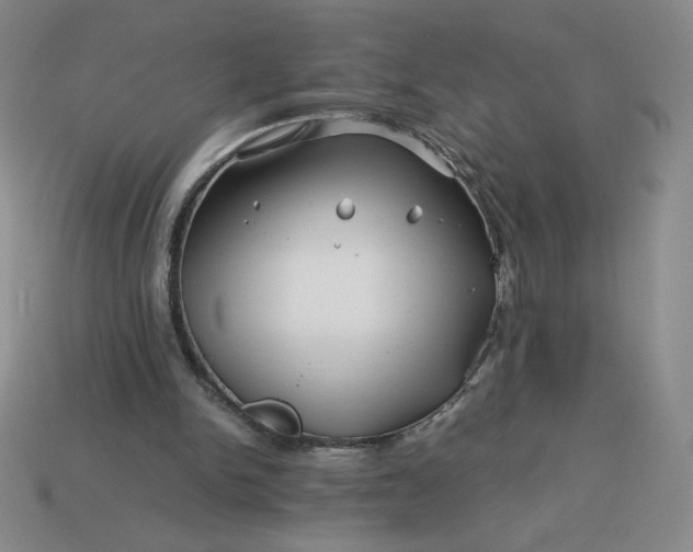 X0000113990150200910161654