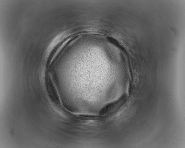 X0000113990151200910161654