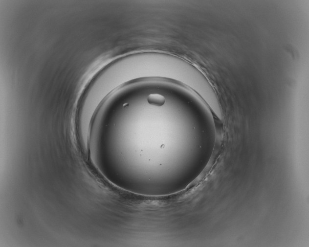 X0000113990152200910161654