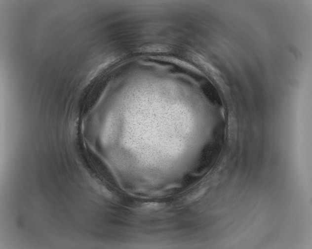 X0000113990153200910161654