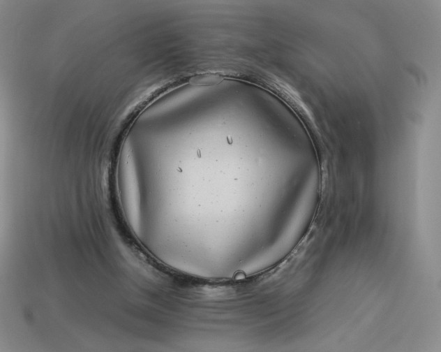 X0000113990154200910161654