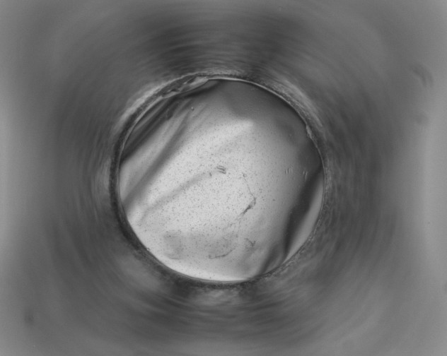 X0000113990155200910161654