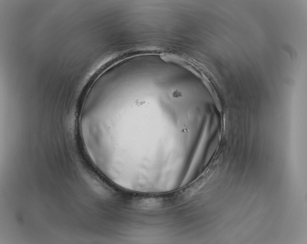 X0000113990156200910161654