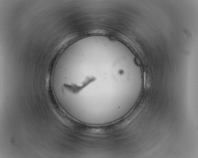 X0000113990157200910161654