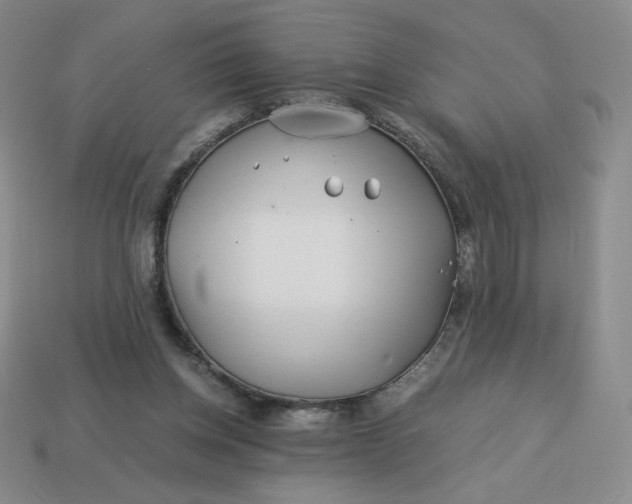 X0000113990158200910161654