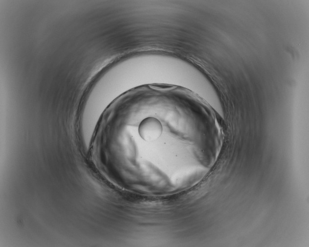 X0000113990160200910161654