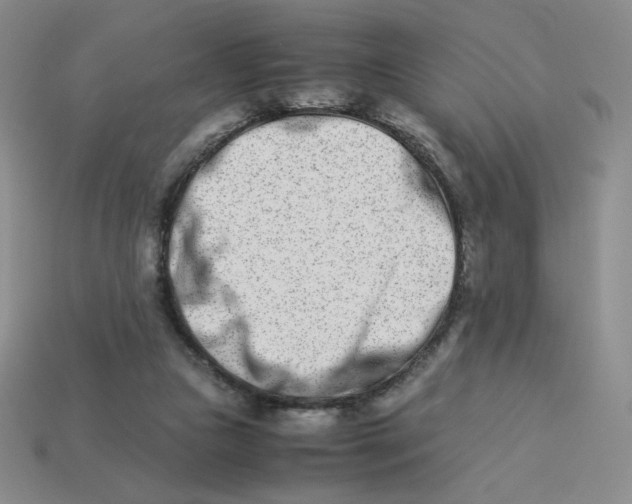 X0000113990161200910161654