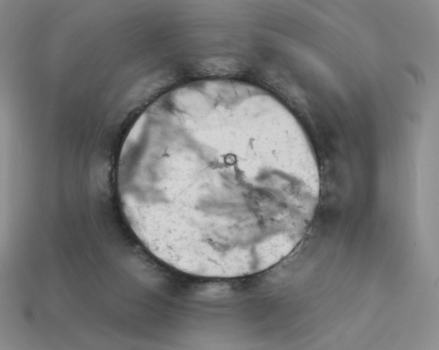 X0000113990162200910161654