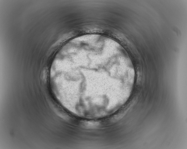 X0000113990165200910161655