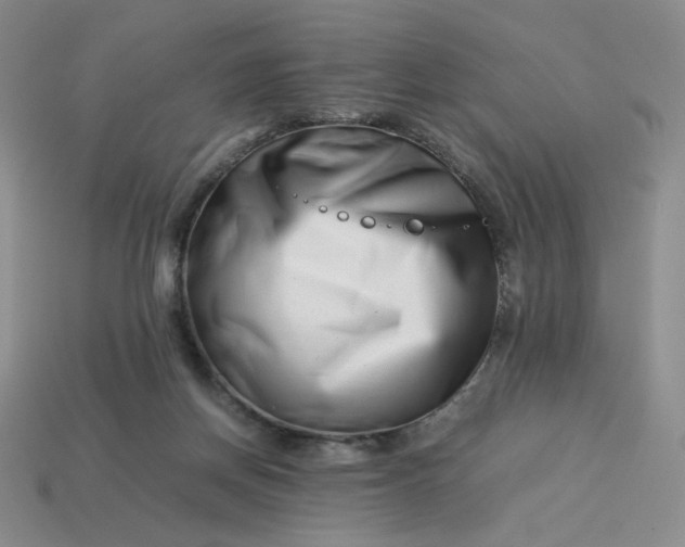 X0000113990166200910161655