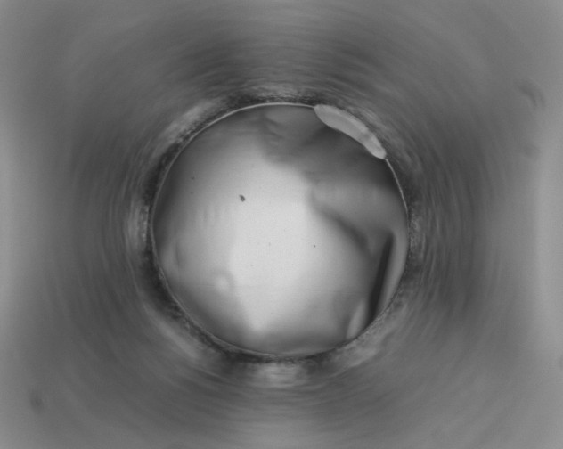 X0000113990168200910161655