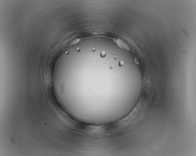 X0000113990170200910161655